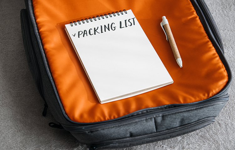Packing Packing