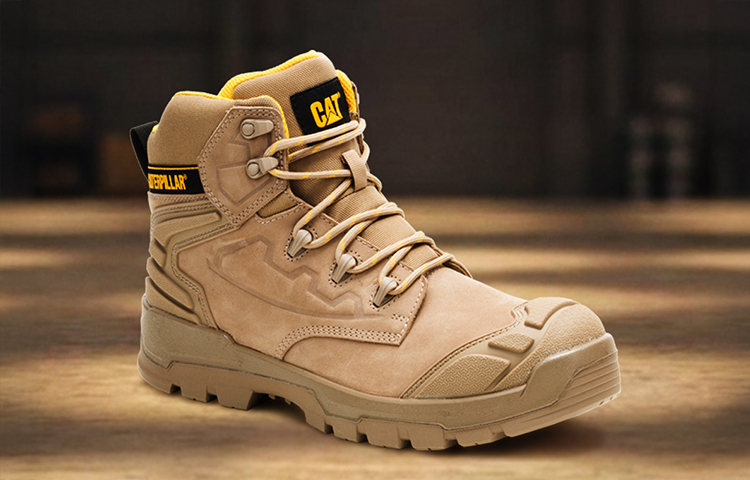 Cat 3